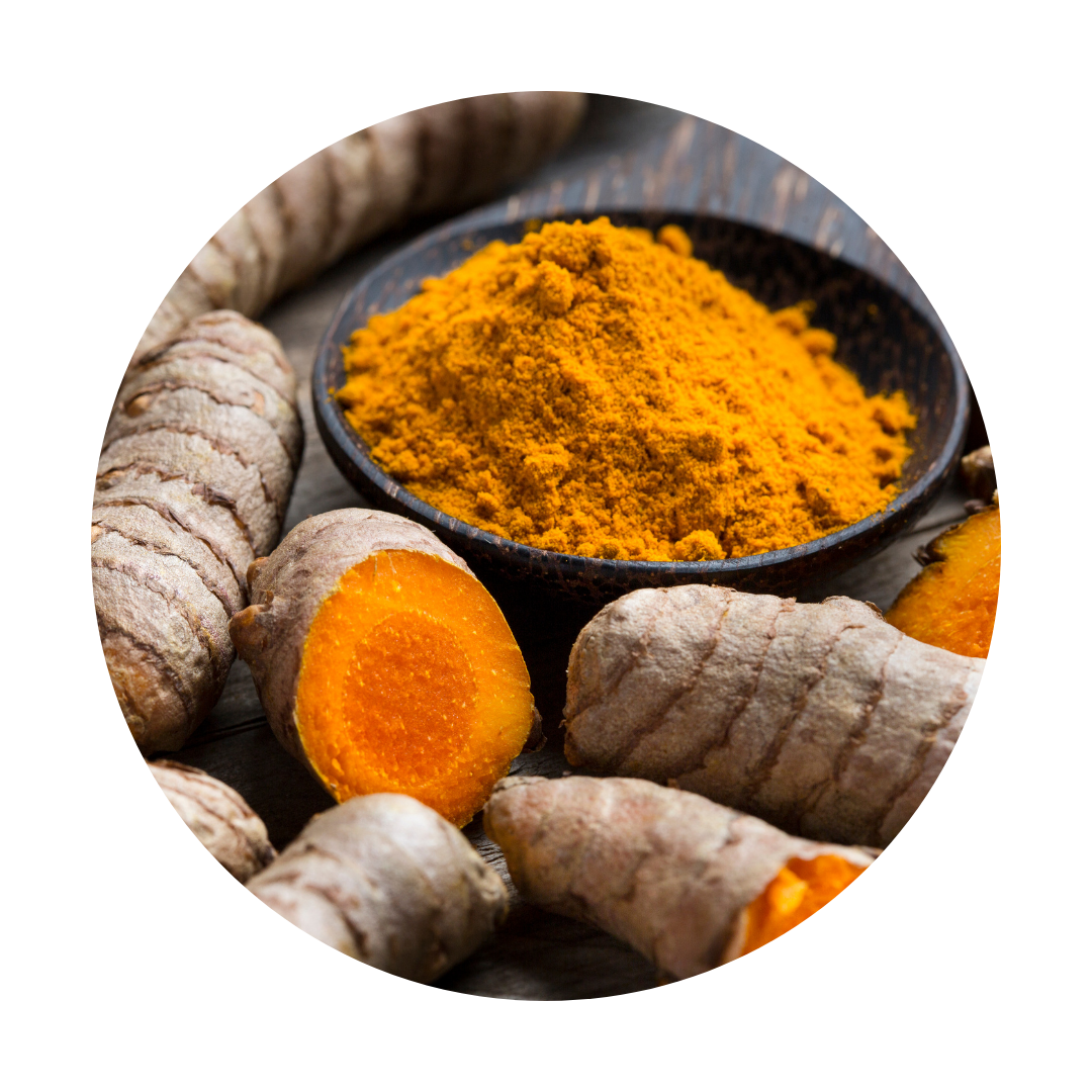 turmeric and turmeric powder