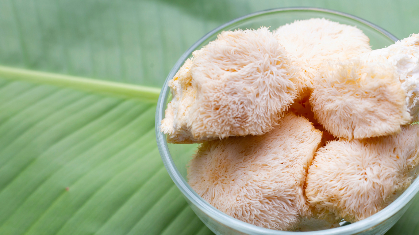 lions mane mushrooms in a small bowl